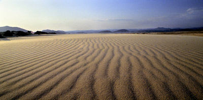The Sand Stone area of the Sinai